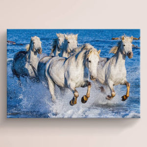 White Horse and Blue Ocean Canvas
