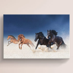 Black and Brown Horses Desert Canvas