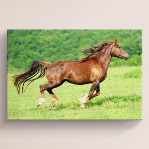 Red Horse Running Canvas