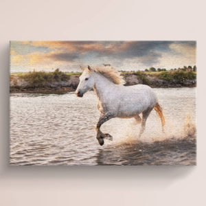 White Horse River Run Canvas