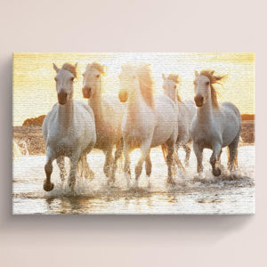 White Horses Running Beach Canvas