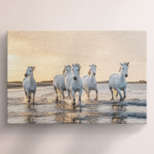 White Horses Sea Side Canvas